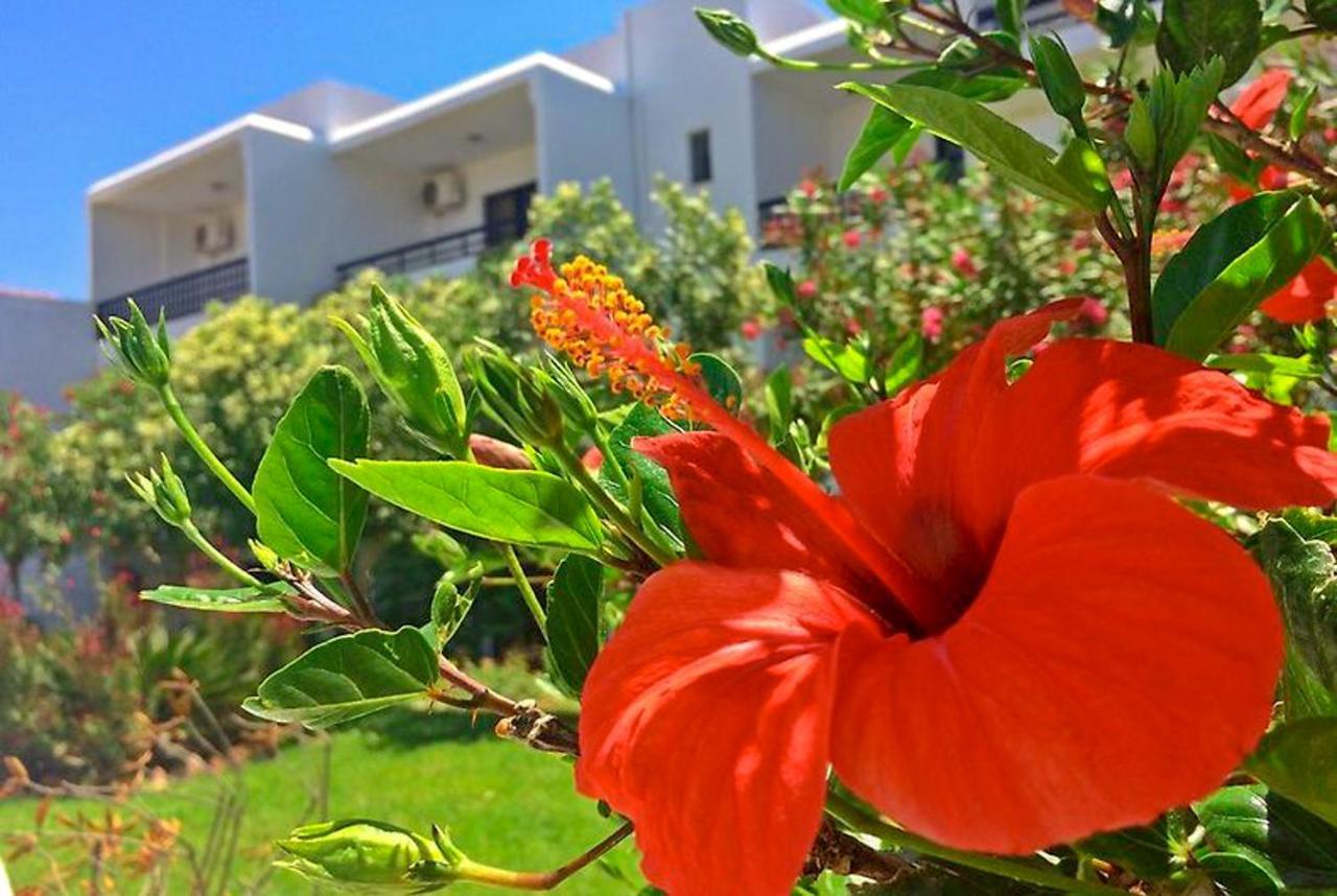 Debbi Appartments And Hotel Ialysos  Dış mekan fotoğraf